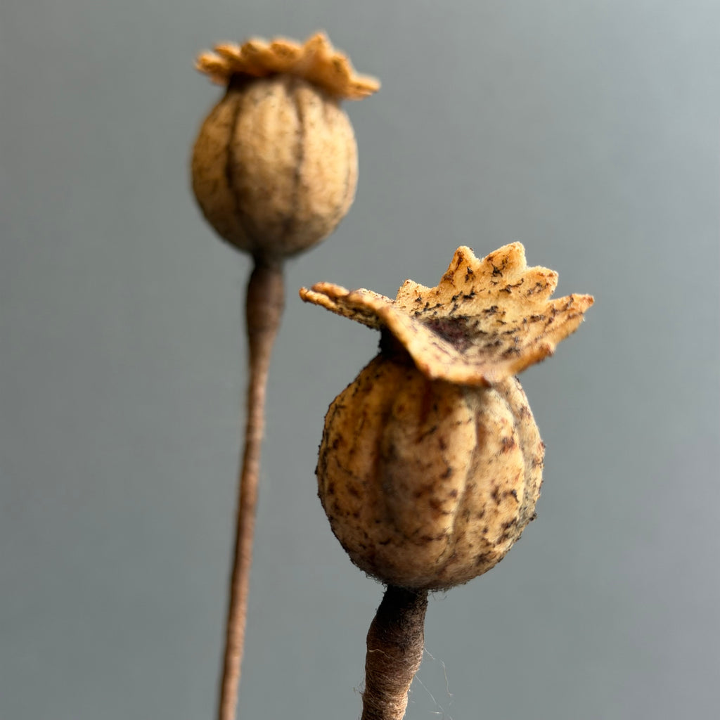 Needle Felted ‘Wilbur’ Mouse with Poppy Seedheads