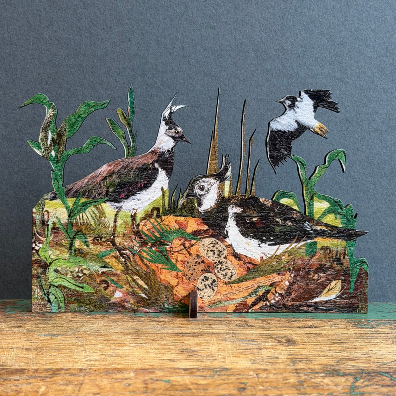 Wooden Keepsake with Greeting Card - Lapwing Nest