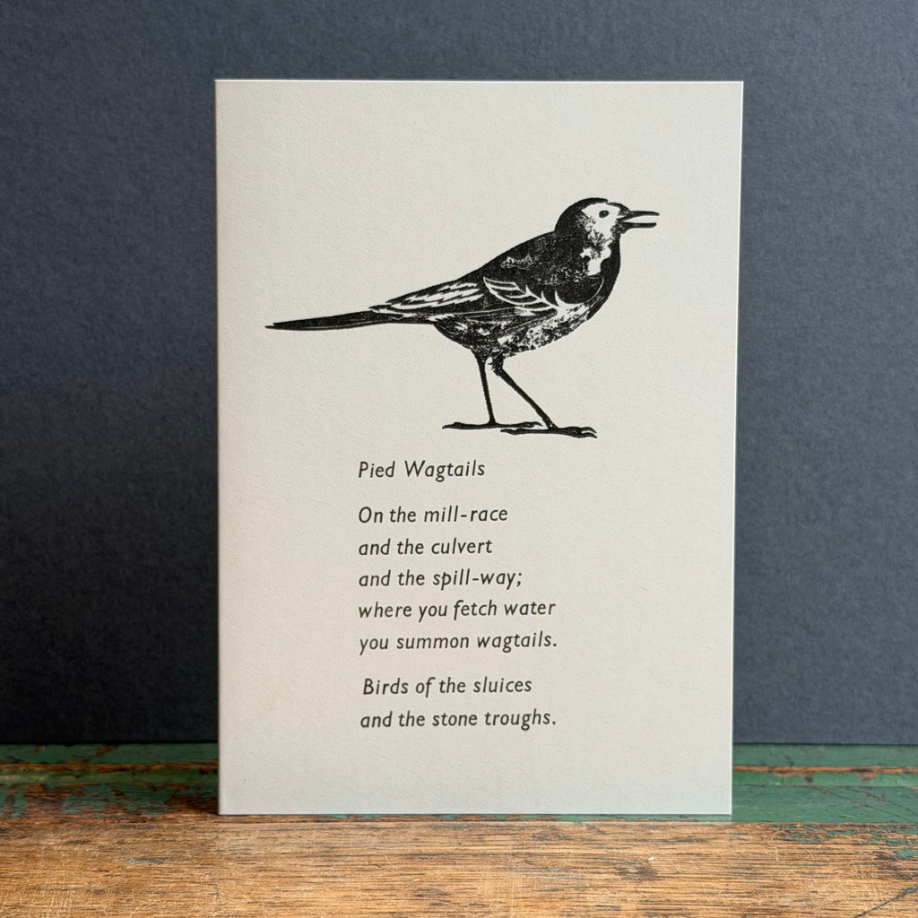 Letterpress Bird G/Card - Pied Wagtail