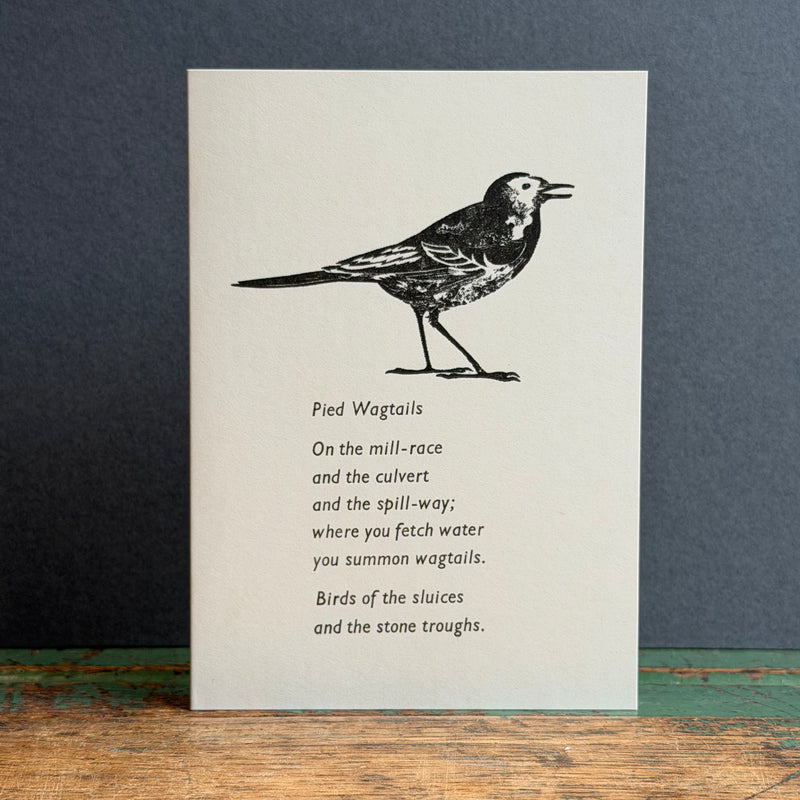 Letterpress Bird G/Card - Pied Wagtail