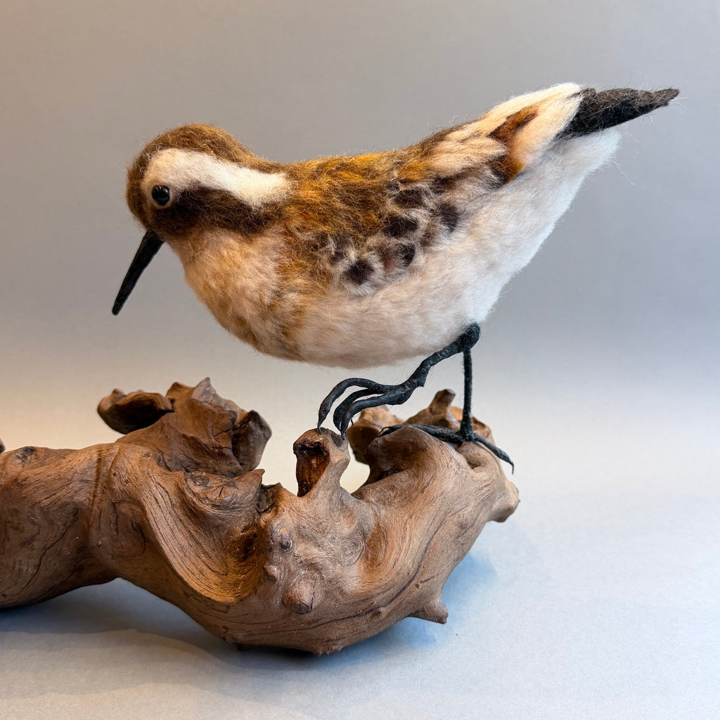 Needle Felted Little Stint on Bogwood