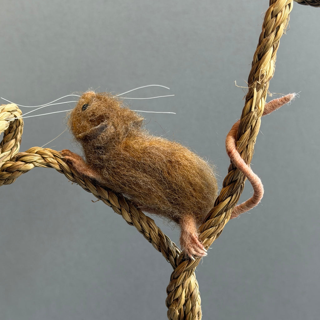 Needle Felted Mouse ‘Toppy’ on a Curled Rope & Terracotta Pot