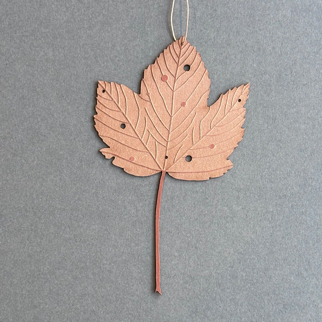 Single Sycamore Leaf - Rust