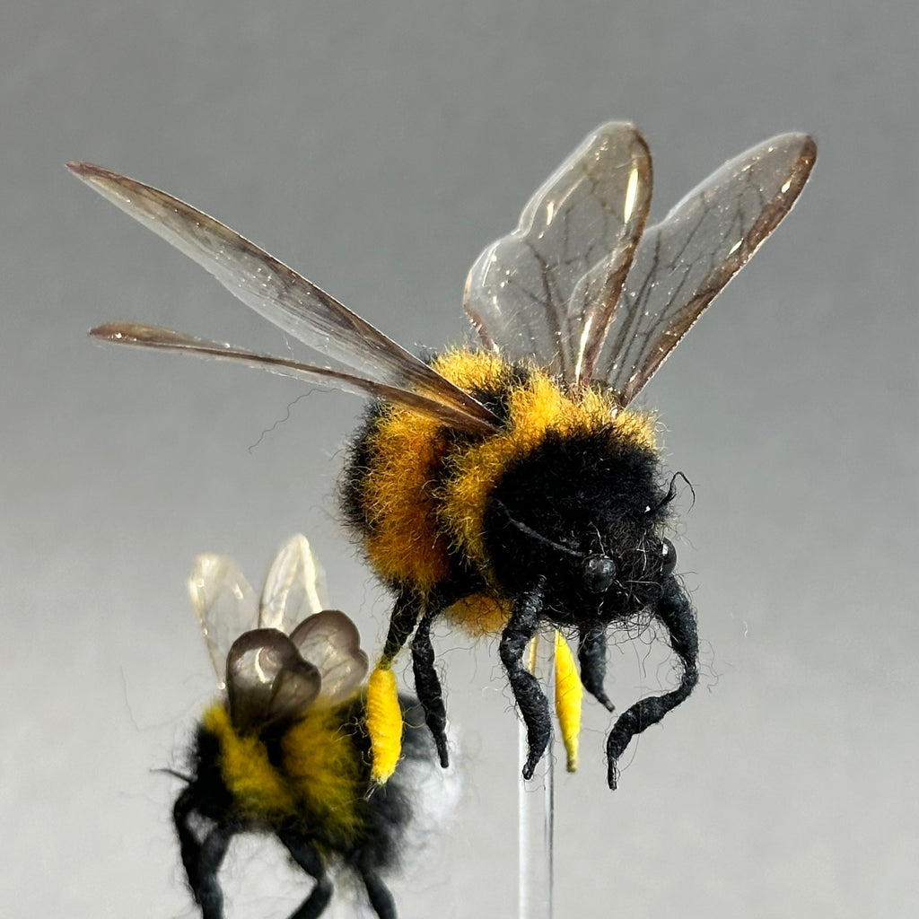 Needle Felted ‘Two Bumble Bees Under a Dome’