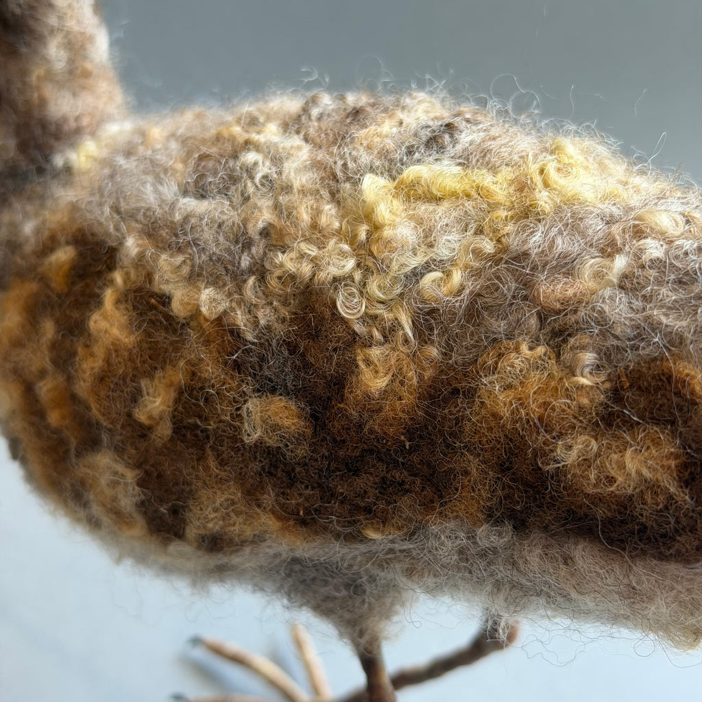 Needle Felted Curlew