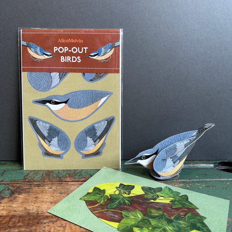 Pop-Out Card - Alice Melvin - Nuthatch