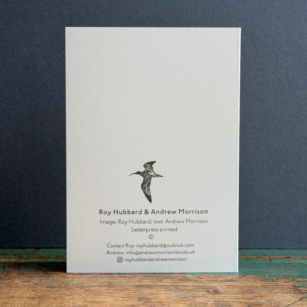 Letterpress Bird G/Card - Chough