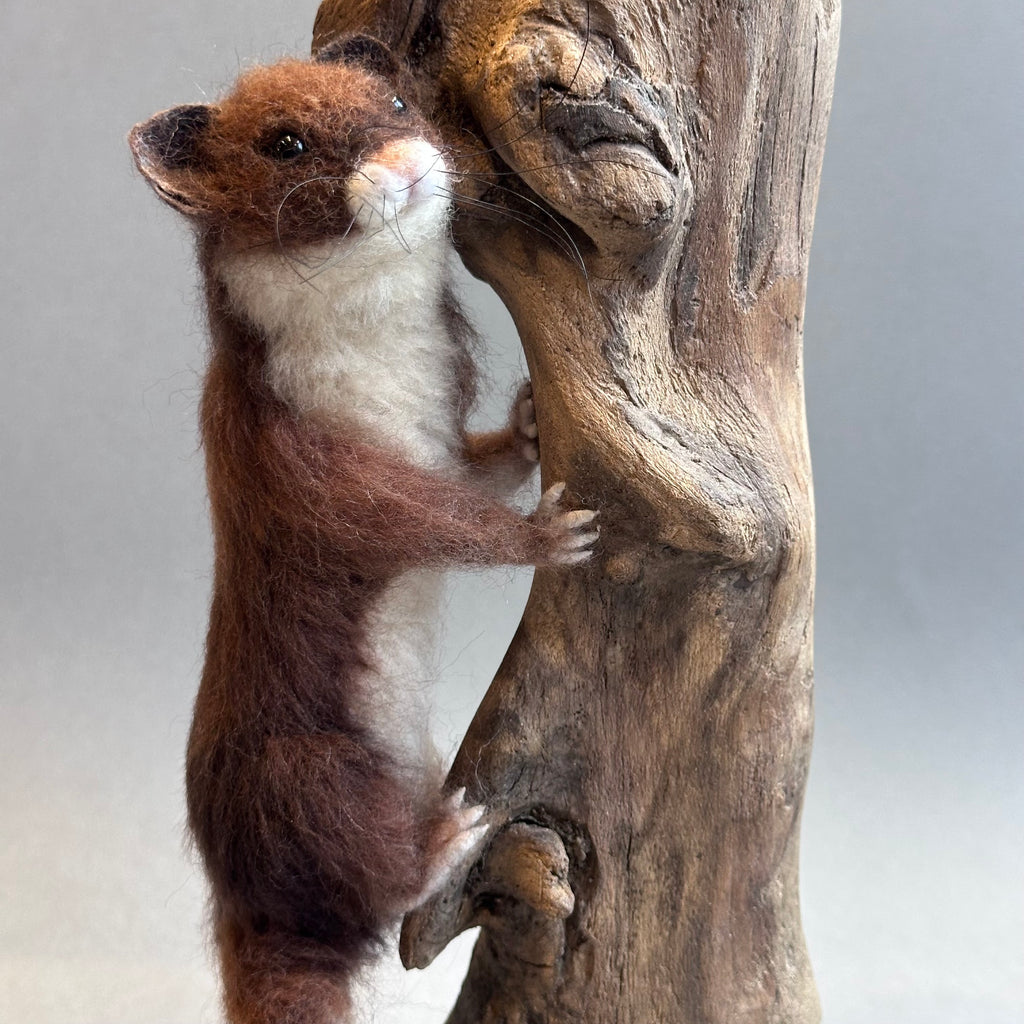 Needle Felted Weazel ‘Willy’ on Diftwood