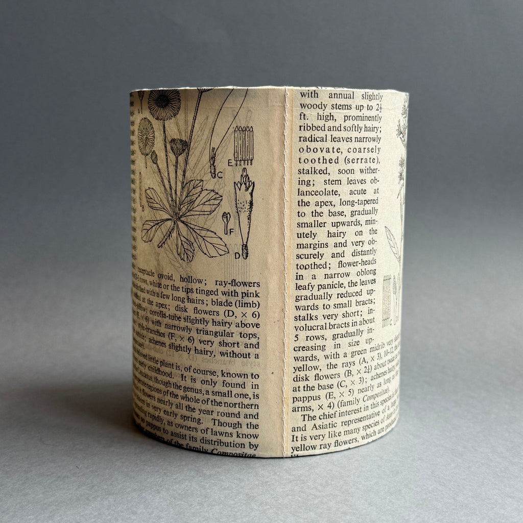 Stitched Paper Lantern - Wildflower Picot