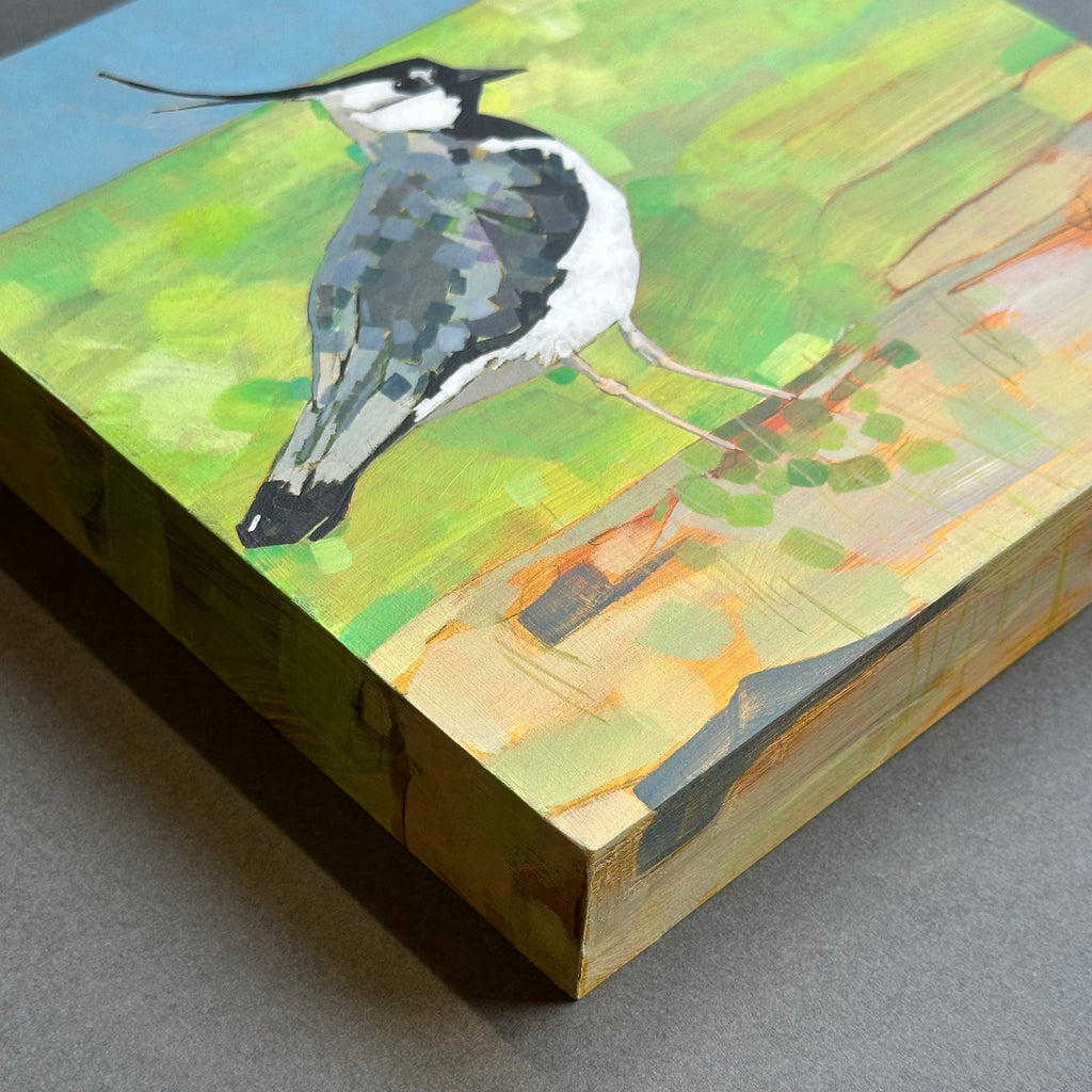 Acrylic on Board - ‘Lapwing’