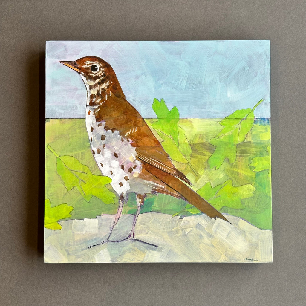 Acrylic on Board - ‘Thrush’