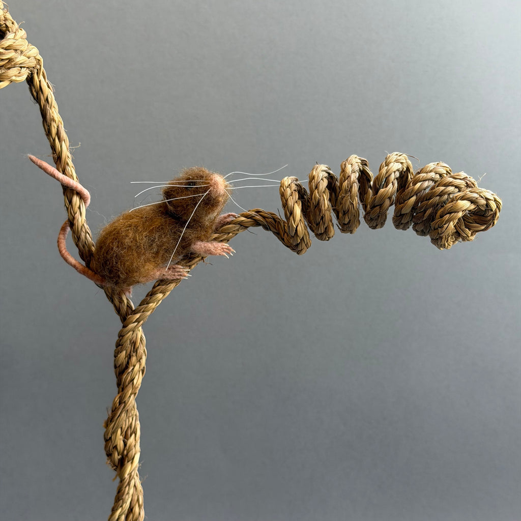 Needle Felted Mouse ‘Toppy’ on a Curled Rope & Terracotta Pot