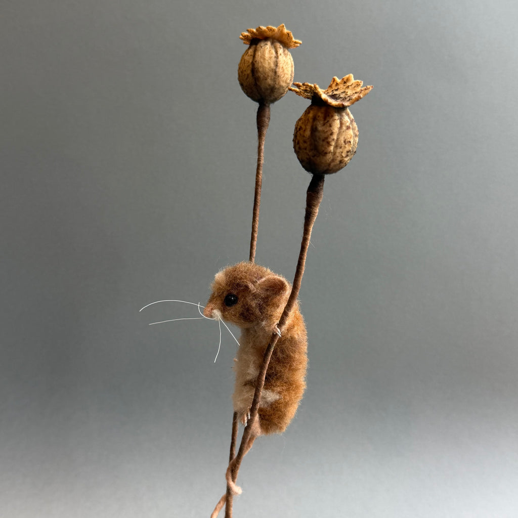 Needle Felted ‘Wilbur’ Mouse with Poppy Seedheads