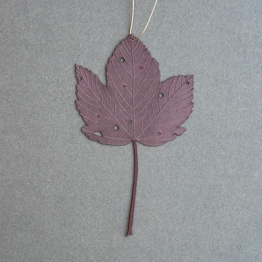 Single Sycamore Leaf - Berry