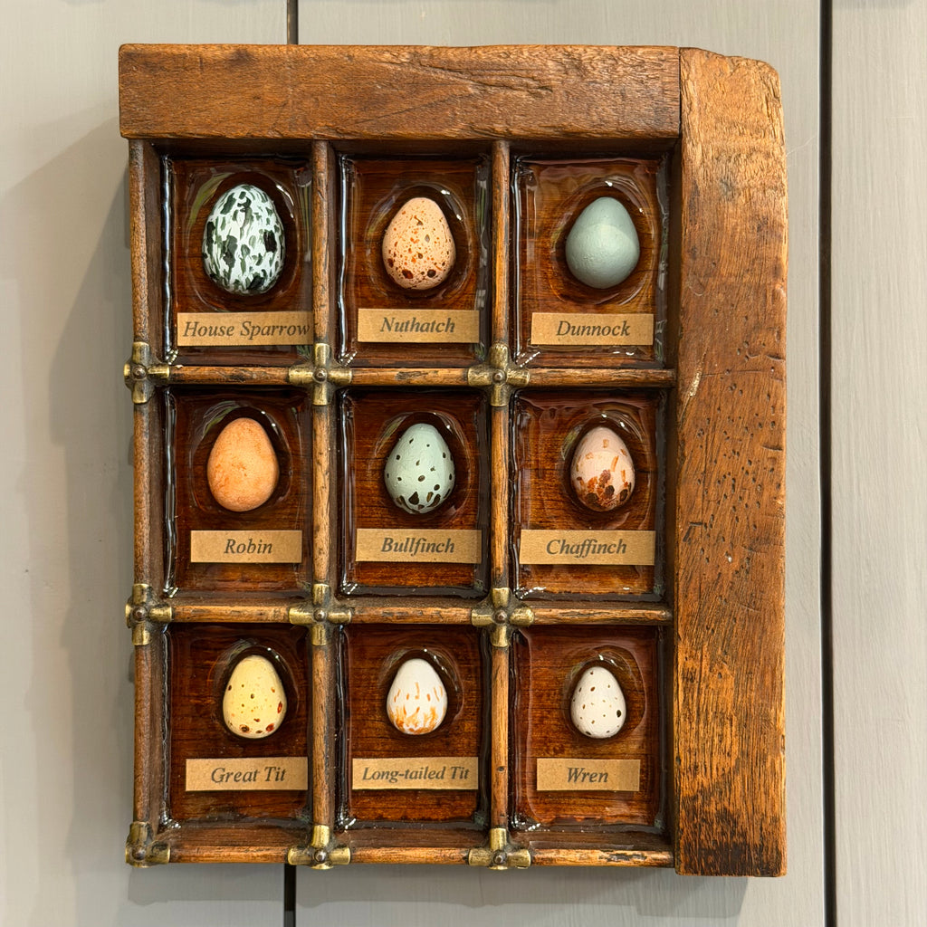Mixed Media Garden Bird Eggs #583