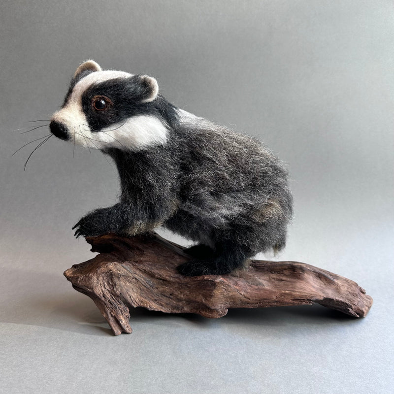 Needle Felted 'Bertie the Young Badger’