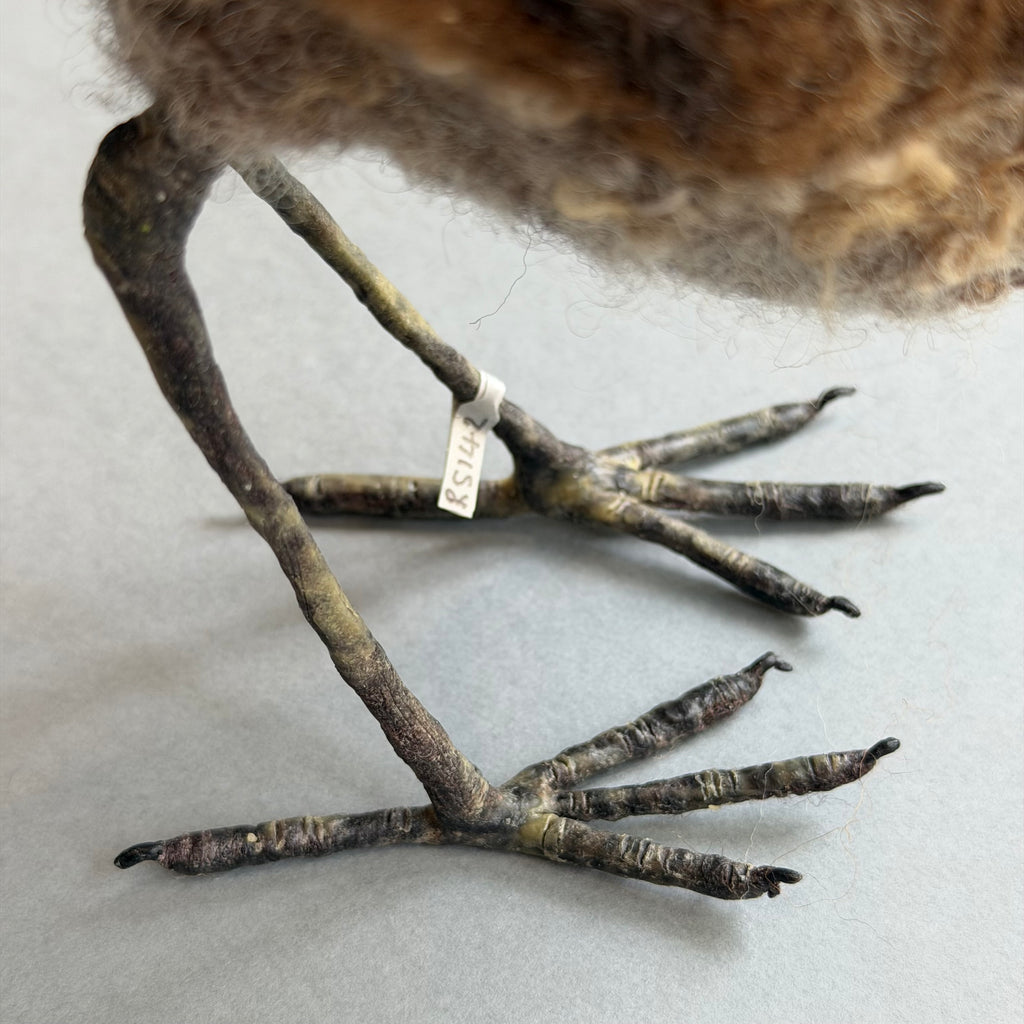Needle Felted Curlew