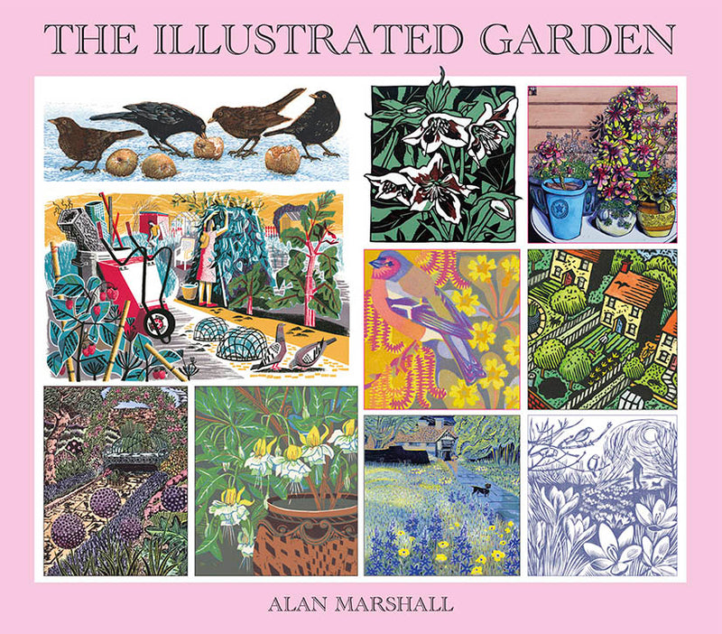 The Illustrated Garden