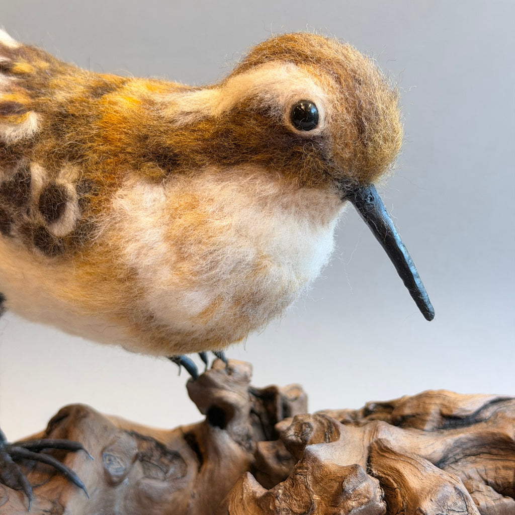Needle Felted Little Stint on Bogwood