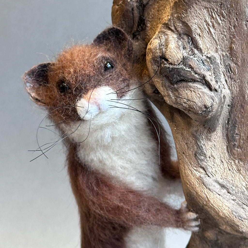 Needle Felted Weazel ‘Willy’ on Diftwood