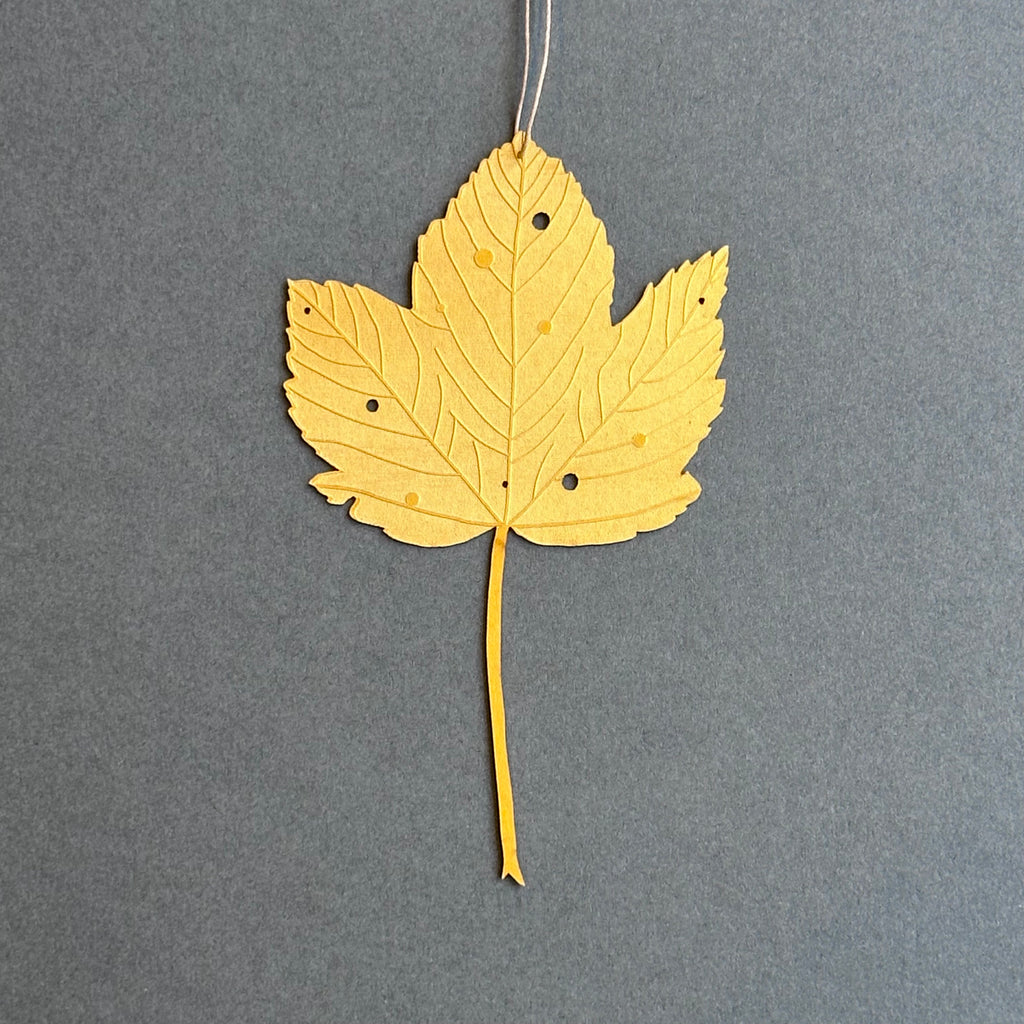 Single Sycamore Leaf - Yellow