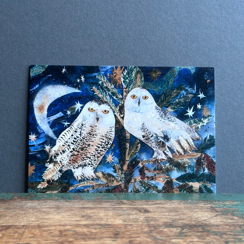 G/Card - A6 - Snowy Owls