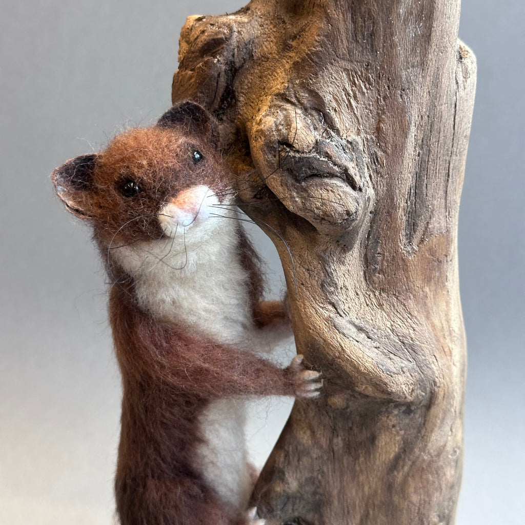 Needle Felted Sculpture ‘Willy the Weazel’