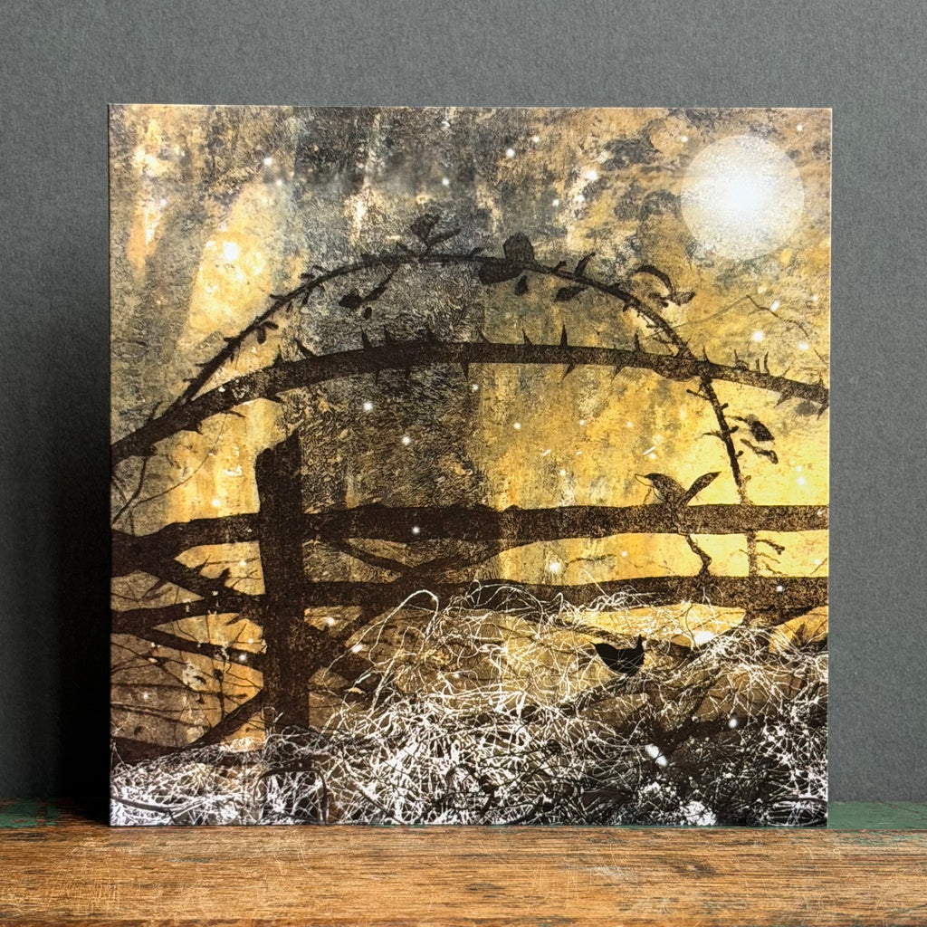 Christmas Card Pack - Set of 10 - Rachel Sargent - Frost