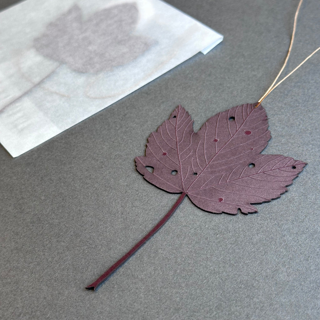 Single Sycamore Leaf - Berry