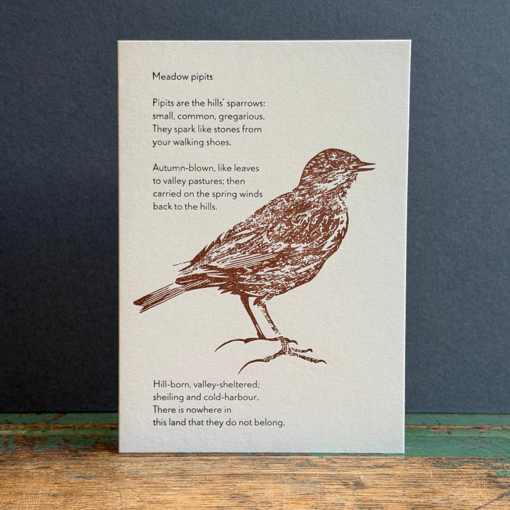 Letterpress Bird G/Card - Meadow Pipet