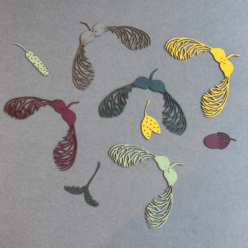 Hanging Decoration Set - Sycamore Seeds