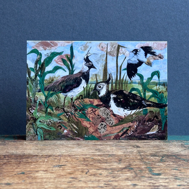 G/Card - A6 - Lapwing Nest