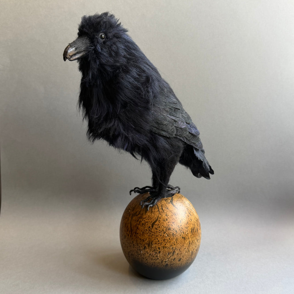 Needle Felted Raven on Burwood ‘Frith’