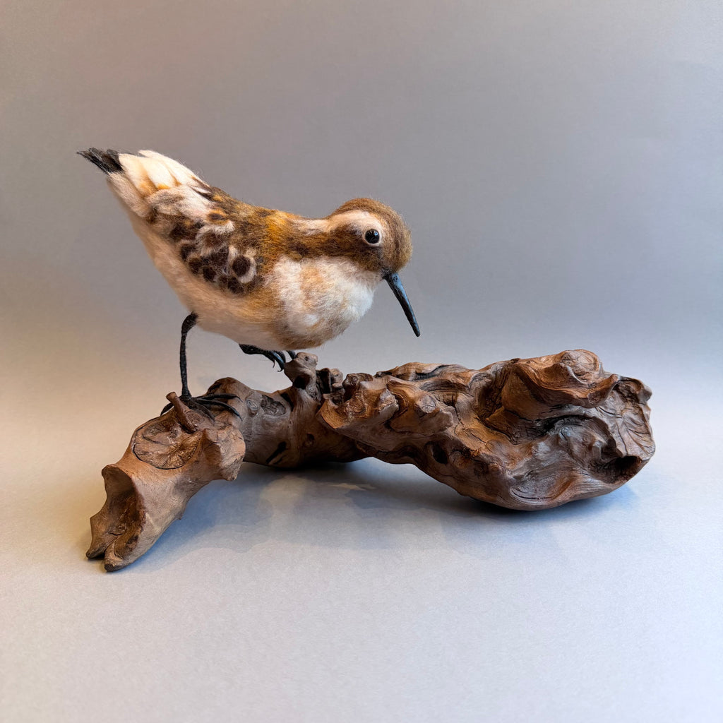 Needle Felted Little Stint on Bogwood