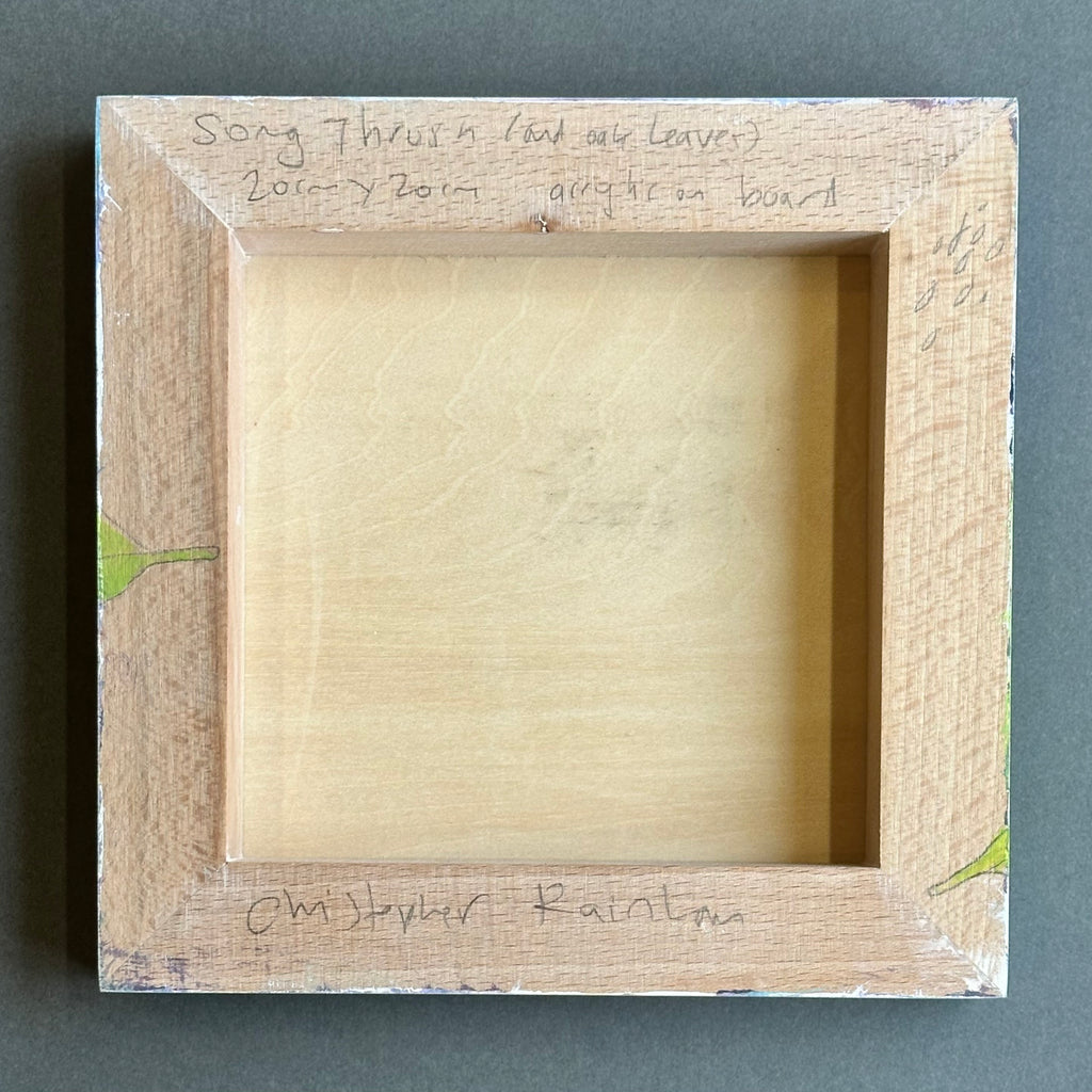 Acrylic on Board - ‘Thrush’