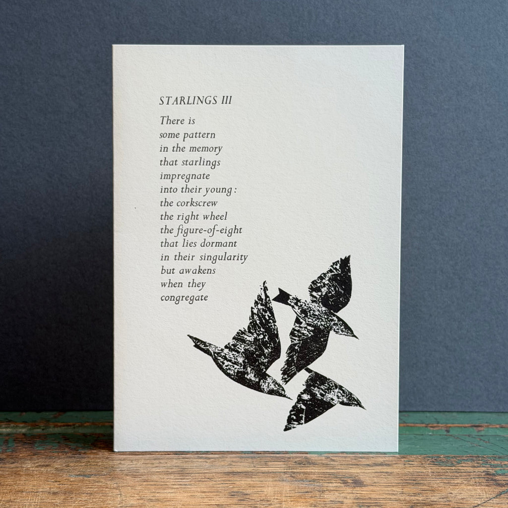 Letterpress Bird G/Card - Starlings