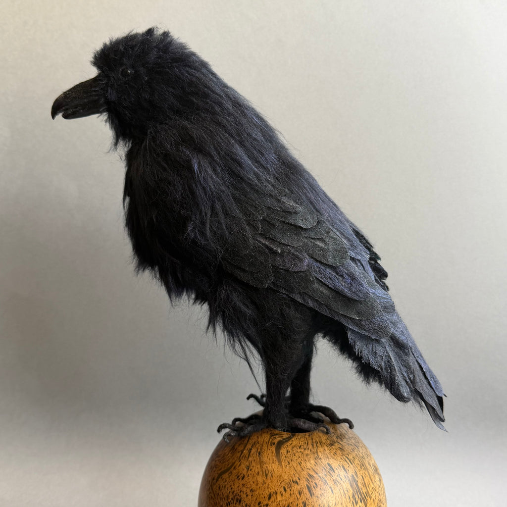 Needle Felted Raven on Burwood ‘Frith’