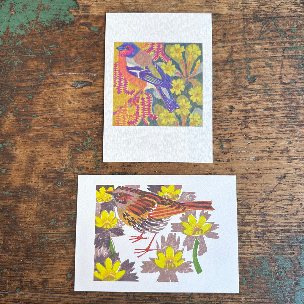 Notecards - Matt Underwood - Catkins & Primroses/Dunnock Among Aconites