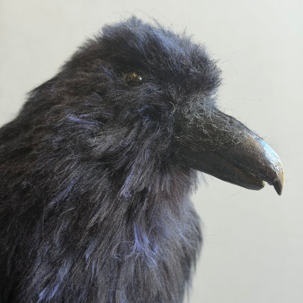 Needle Felted Raven on Burwood ‘Frith’