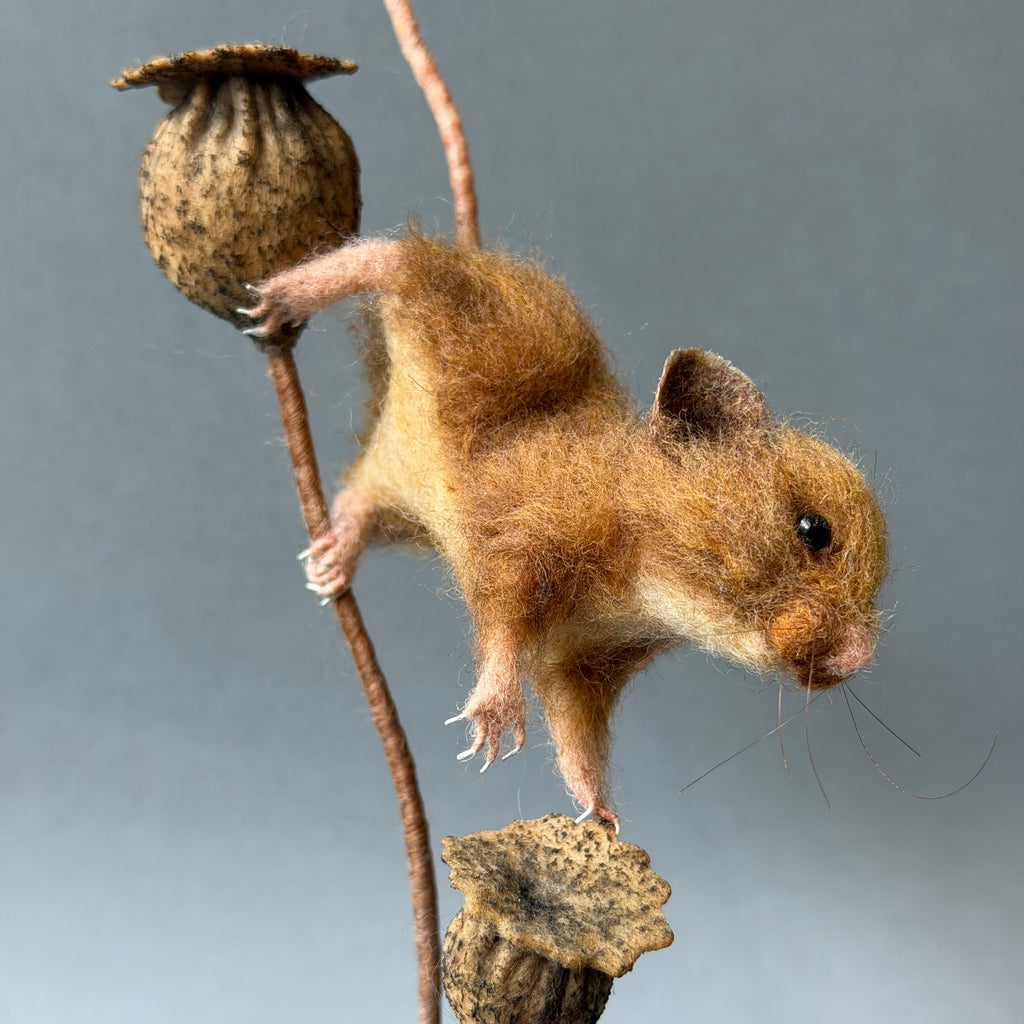 Needle Felted ‘Tove’ Mouse with Poppy Seedheads