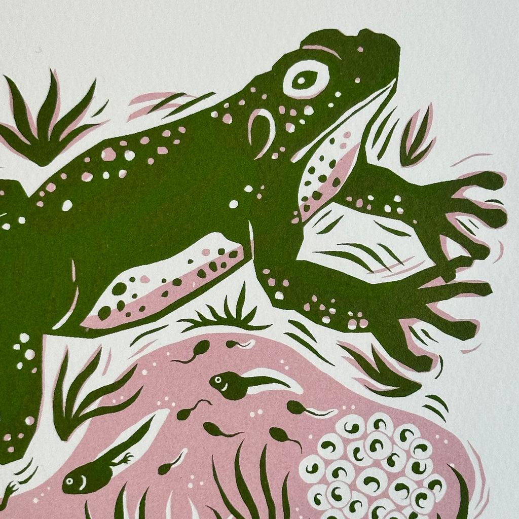 Ltd Edition Screenprint - Frog