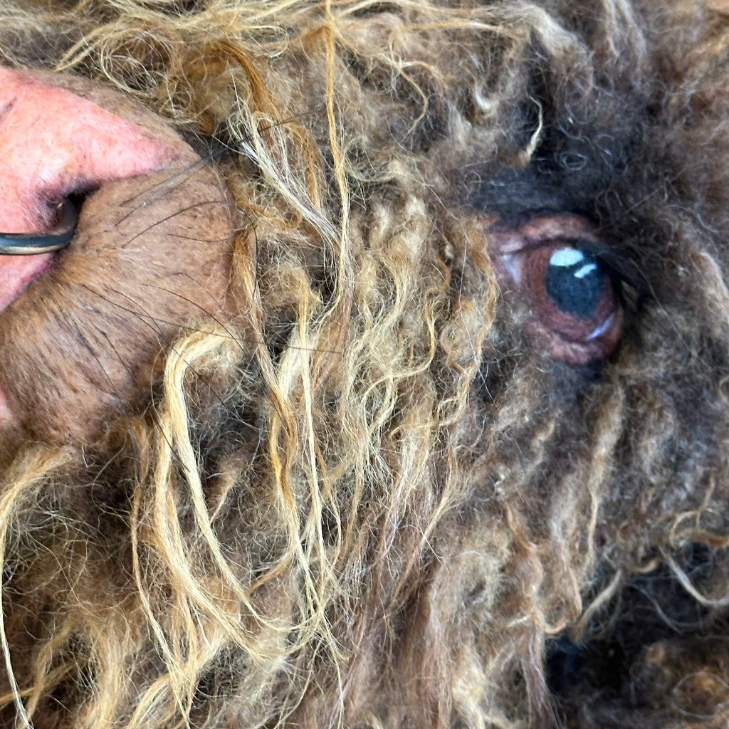 Needle Felted Highland Cow ‘Hamish’