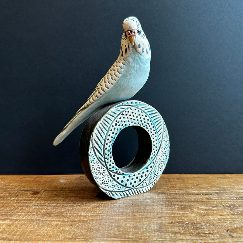 Large Blue Budgie on a Hoop