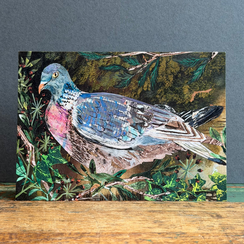 G/Card - A6 - Wood Pigeon