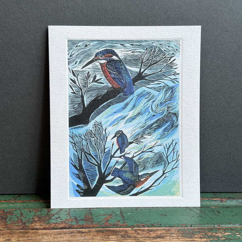 G/Card - Angela Harding - Suffolk Kingfishers