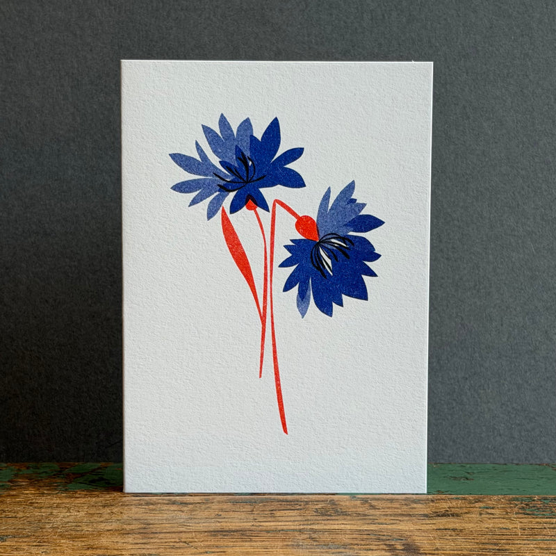 G/Card - Mini Card - Cornflower