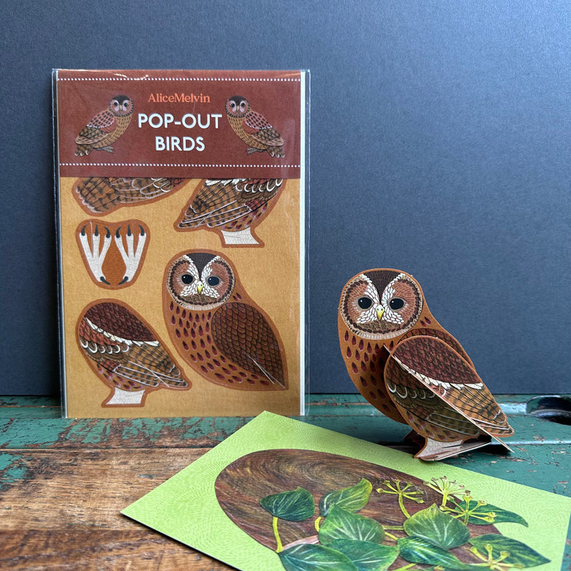 Pop-Out Card - Alice Melvin - Tawny Owl