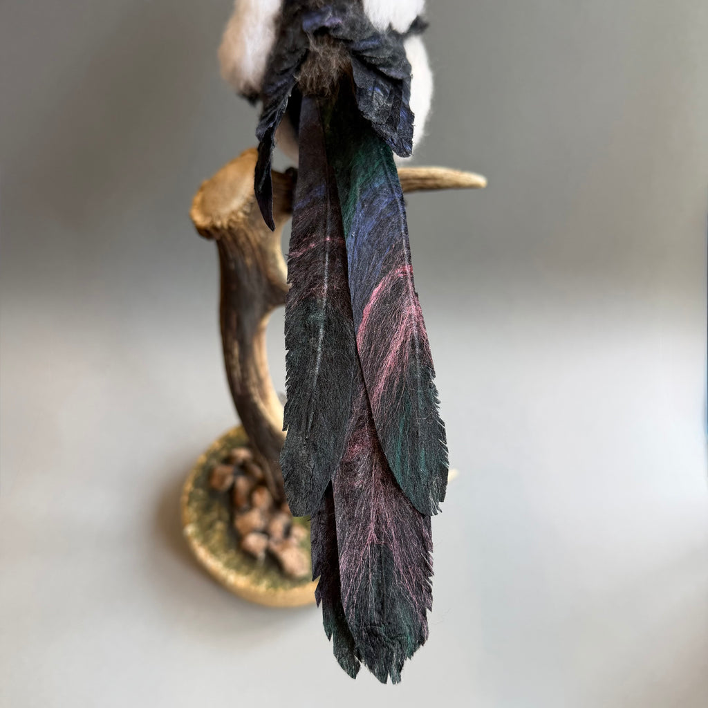 Needle Felted Magpie on Horn ‘Morgana’