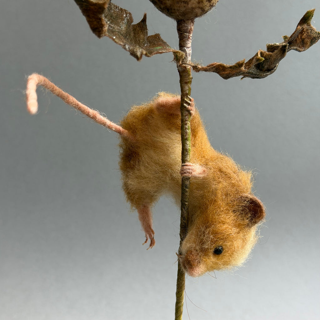 Needle Felted ‘Willoughby’ Mouse with a Thistle