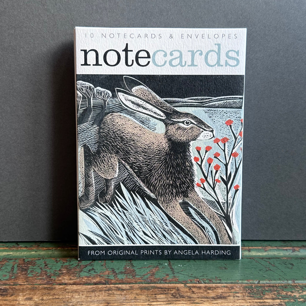 Notecards - Angela Harding - Shooting Stars/Look Out!